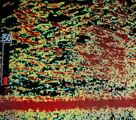 シースナイパー海龍 釣果