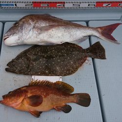 遊漁船 家入 釣果