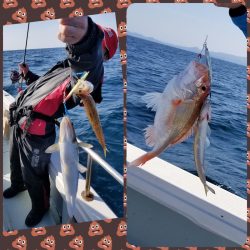 アマテラス 釣果