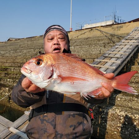 サンマリン 釣果