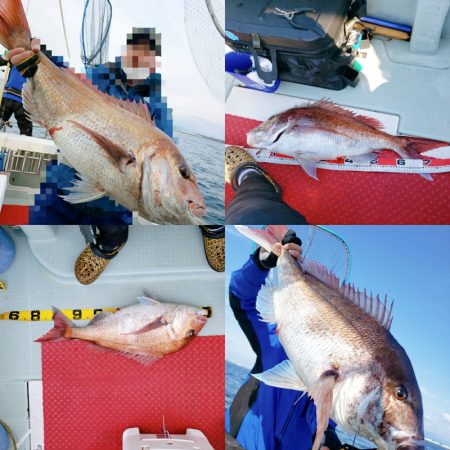 シーライオン 釣果