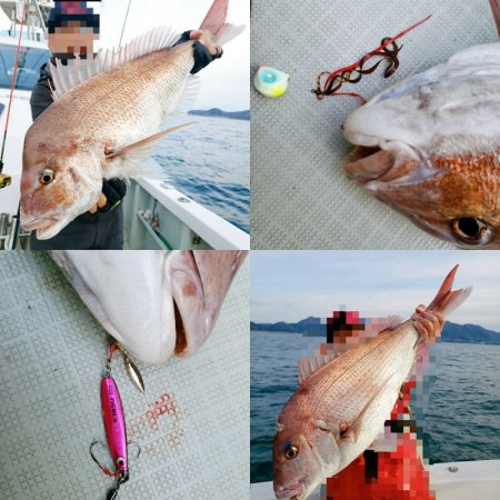 シーライオン 釣果