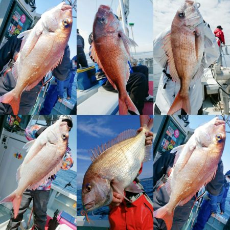 シーライオン 釣果