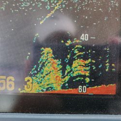 サンマリン 釣果