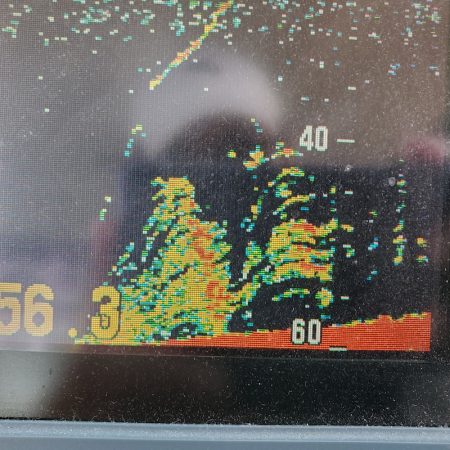 サンマリン 釣果