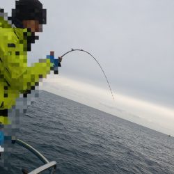 シーライオン 釣果