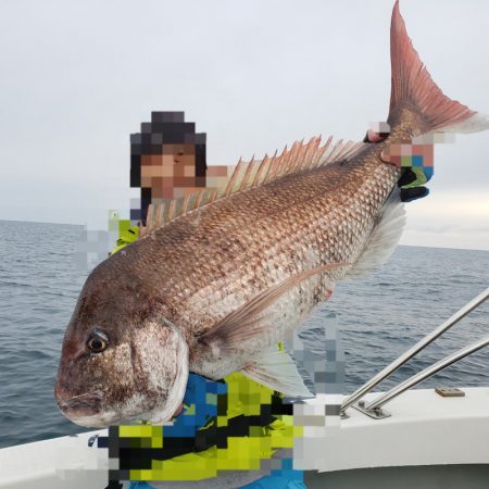 シーライオン 釣果