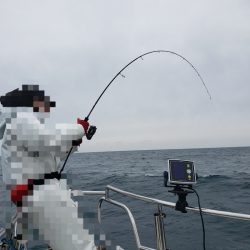 シーライオン 釣果