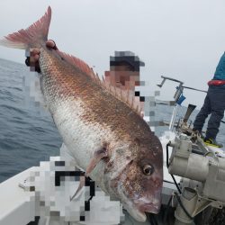 シーライオン 釣果