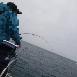 シーライオン 釣果