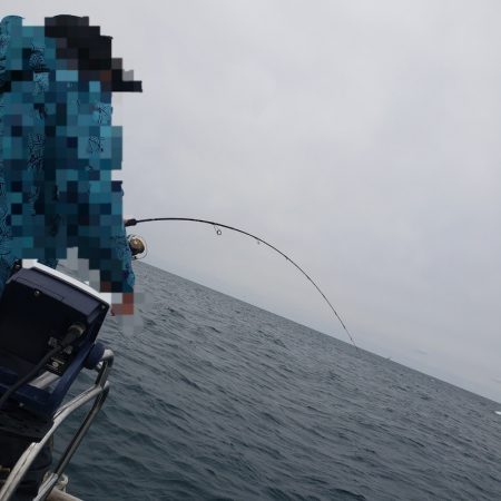 シーライオン 釣果