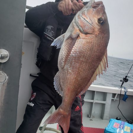 シーライオン 釣果