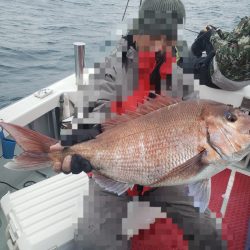 シーライオン 釣果