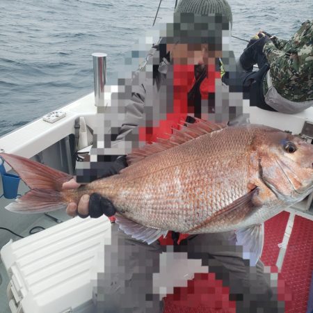 シーライオン 釣果