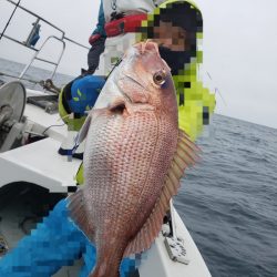 シーライオン 釣果