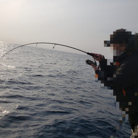 シーライオン 釣果