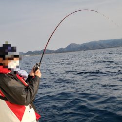 シーライオン 釣果