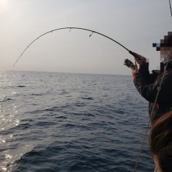 シーライオン 釣果