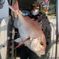 シーライオン 釣果