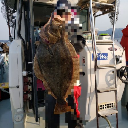 シーライオン 釣果