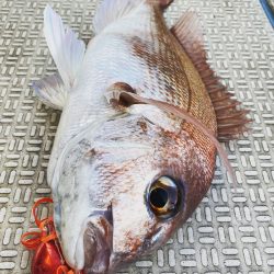 龍神丸（鹿児島） 釣果