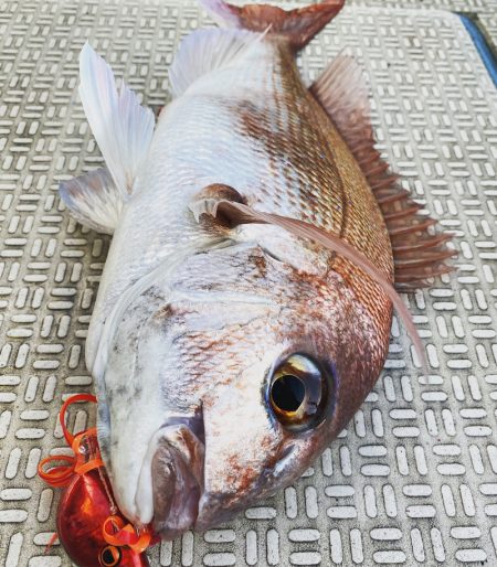 龍神丸（鹿児島） 釣果