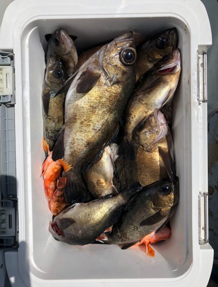 フィッシング キッタカ 釣果