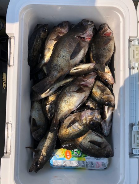 フィッシング キッタカ 釣果