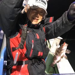 ヤザワ渡船 釣果