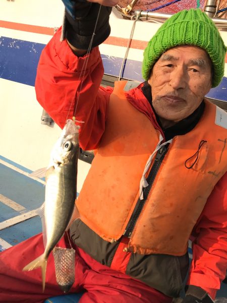 ヤザワ渡船 釣果