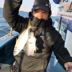 ヤザワ渡船 釣果