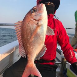 ランスルー 釣果