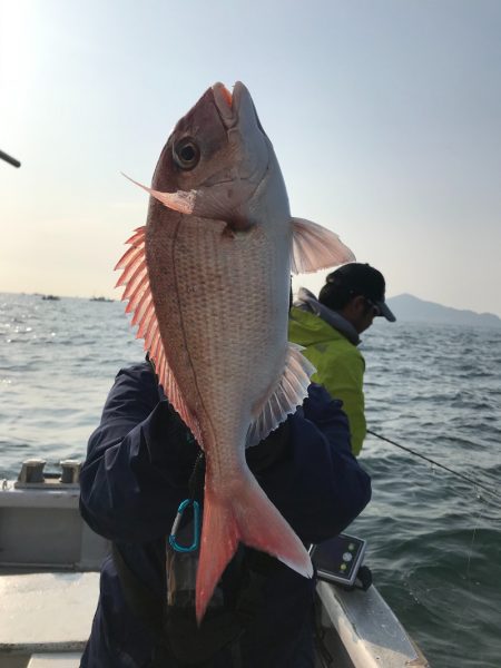 ランスルー 釣果