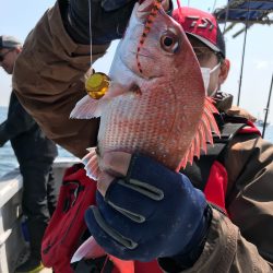 ランスルー 釣果