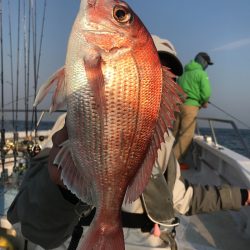 ランスルー 釣果