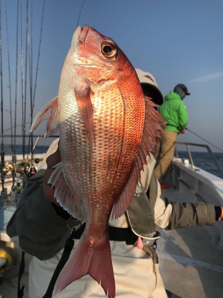 ランスルー 釣果