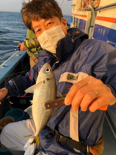 ヤザワ渡船 釣果