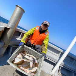 シーランチ 釣果