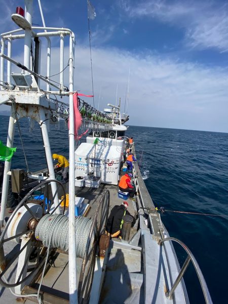 シーランチ 釣果