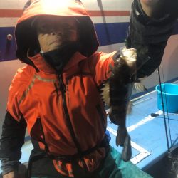 ヤザワ渡船 釣果