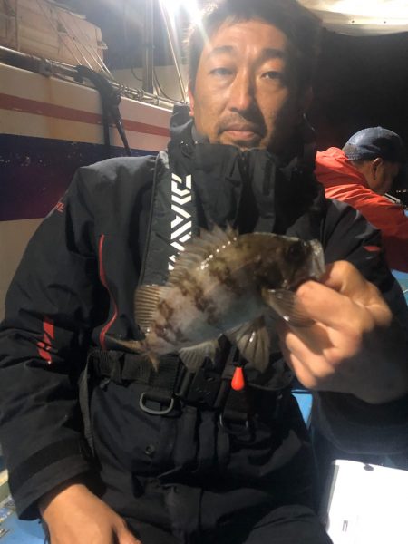 ヤザワ渡船 釣果