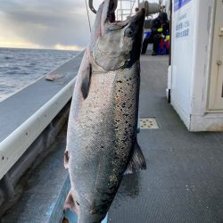 シーランチ 釣果