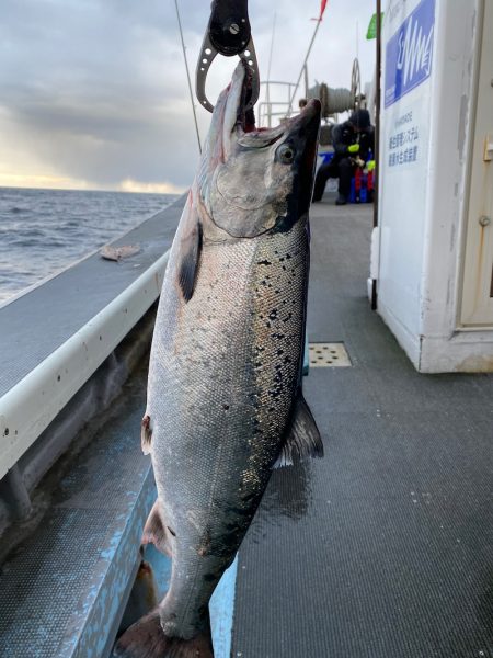 シーランチ 釣果