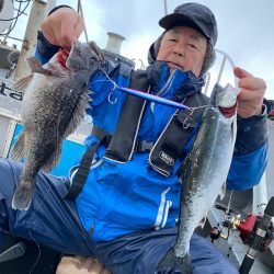 シーランチ 釣果