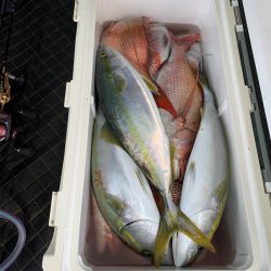 ランスルー 釣果