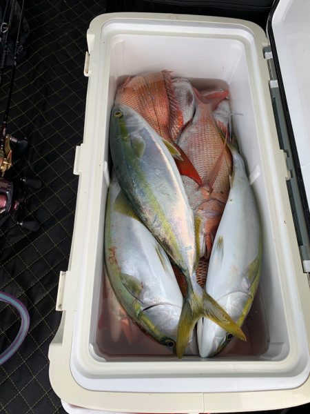 ランスルー 釣果