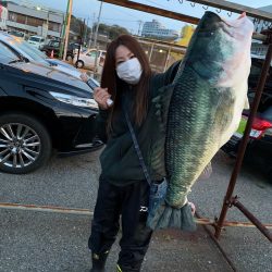 ランスルー 釣果