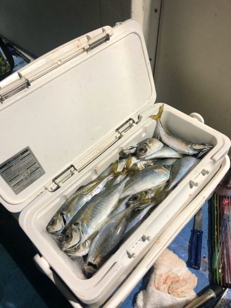 ヤザワ渡船 釣果