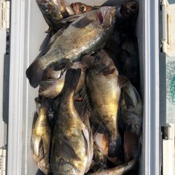 フィッシング　キッタカ 釣果