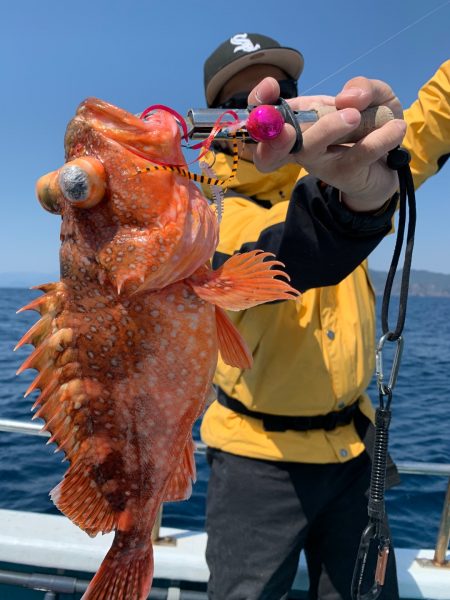 愛海丸 釣果